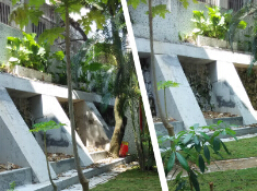 竹林小学边坡加固